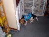 Zoey-107.JPG
