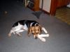 Zoey-145.JPG