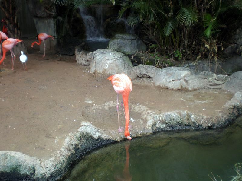 P2200291.JPG