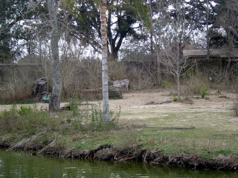 P2200311.JPG