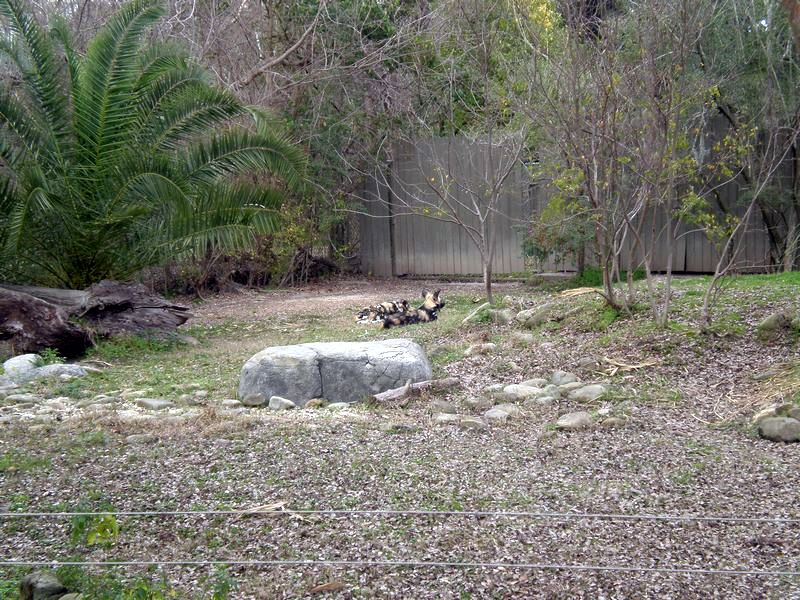 P2200326.JPG