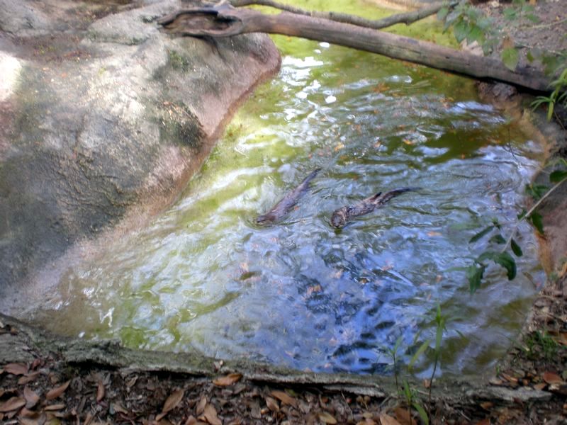 P2200352.JPG