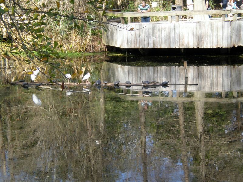 P2200370.JPG