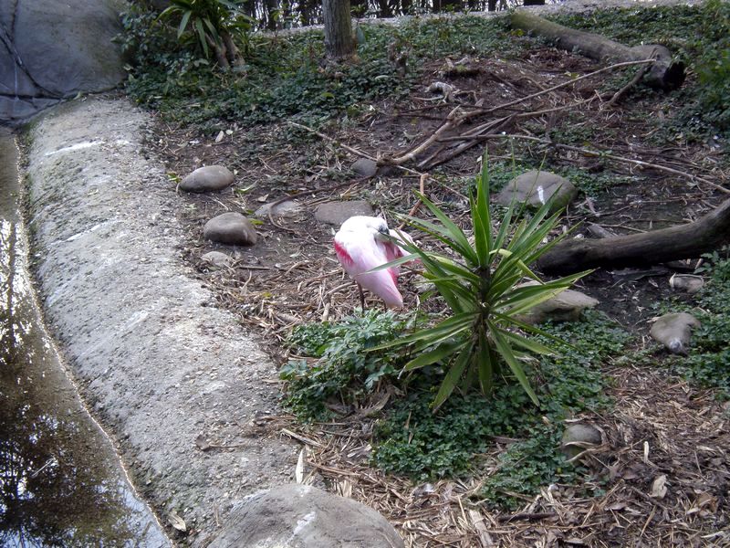 P2200371.JPG