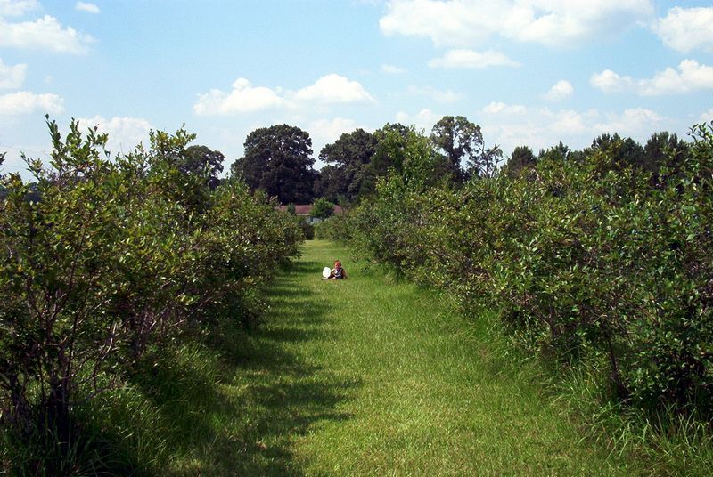 xIM000853.jpg