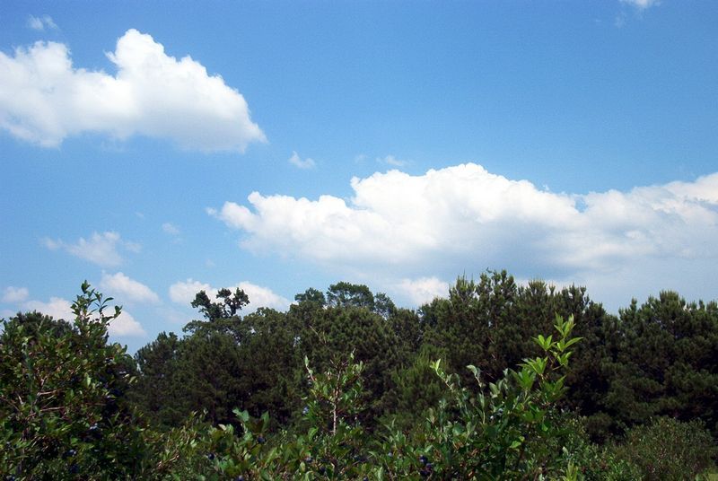 xIM000854.jpg