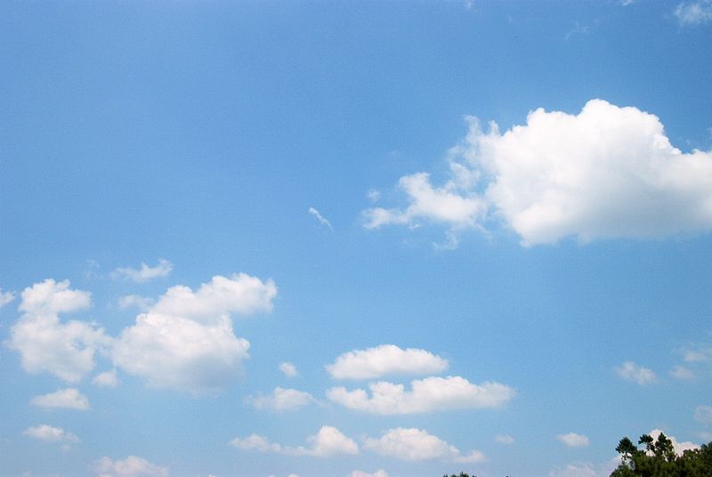 xIM000864.jpg