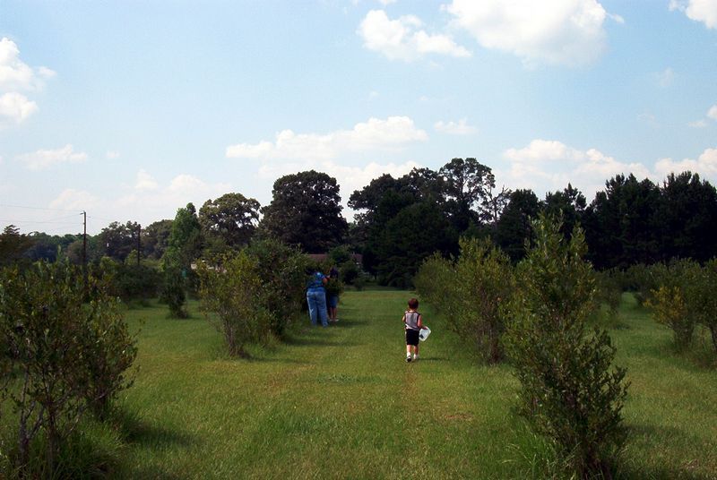 xIM000871.jpg