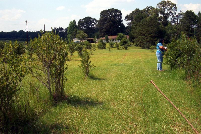 xIM000882.jpg