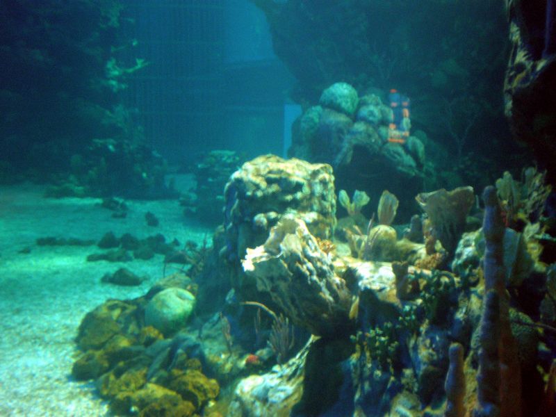 PC050028.JPG