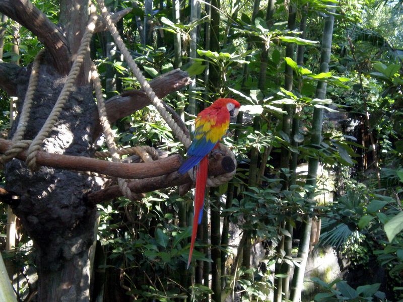 PC070119.JPG