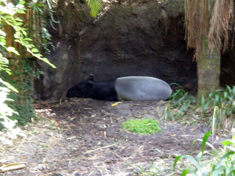 PC070142.JPG