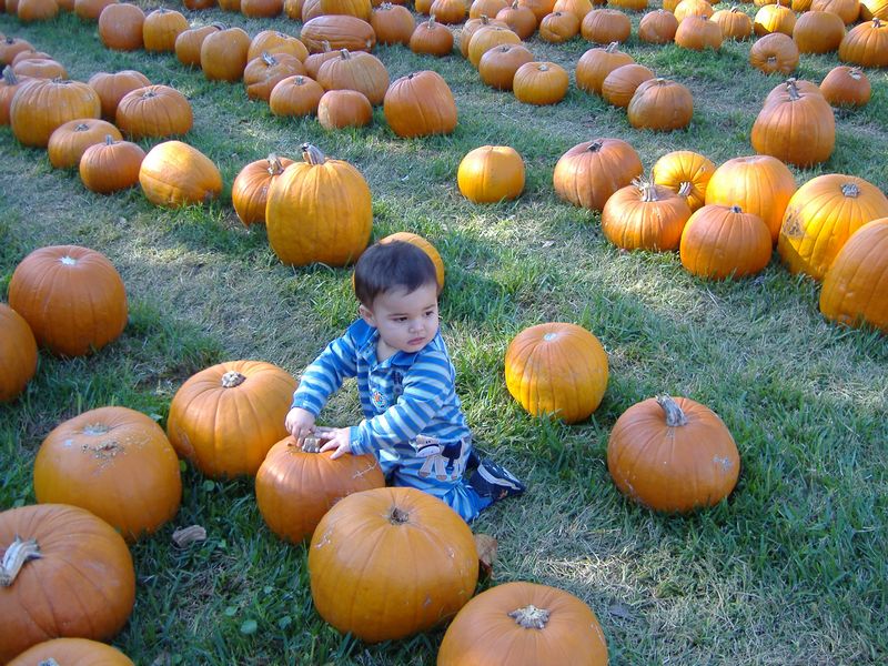 DSCF1538.JPG
