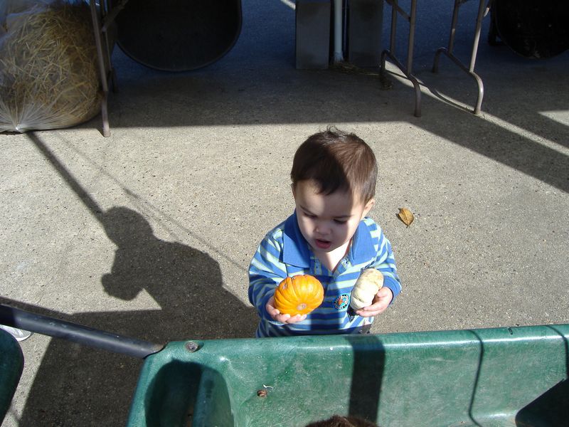 DSCF1550.JPG