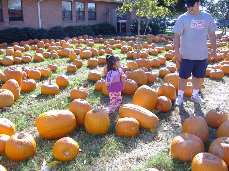 DSCF1551.JPG