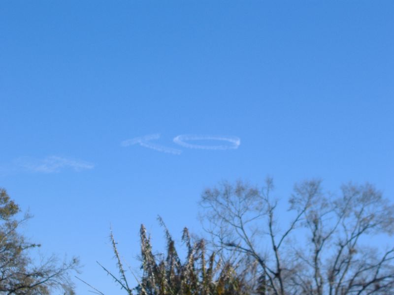 DSCF1963.JPG