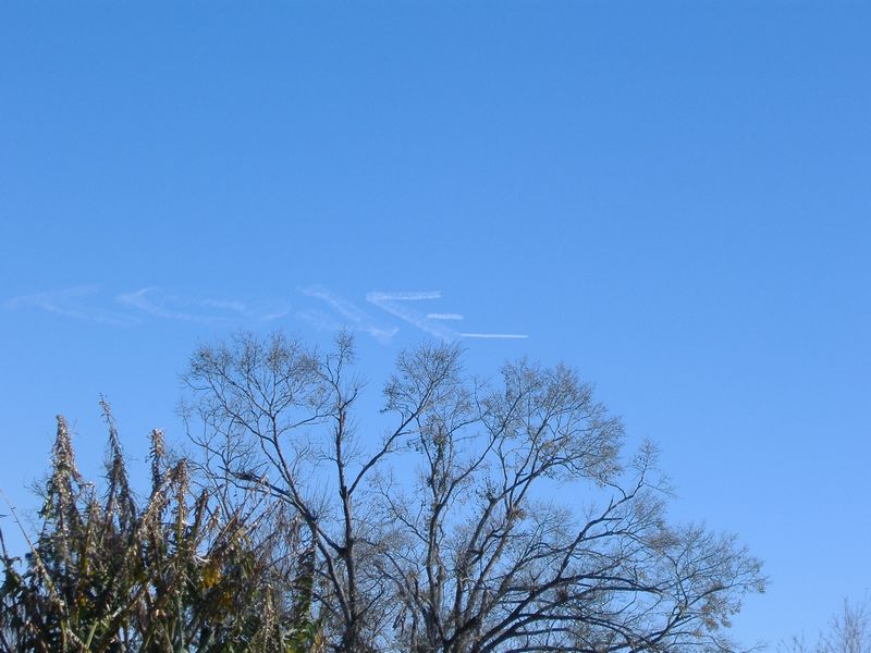 DSCF1965.JPG