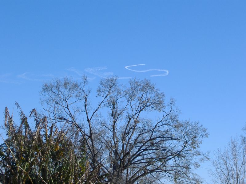 DSCF1966.JPG