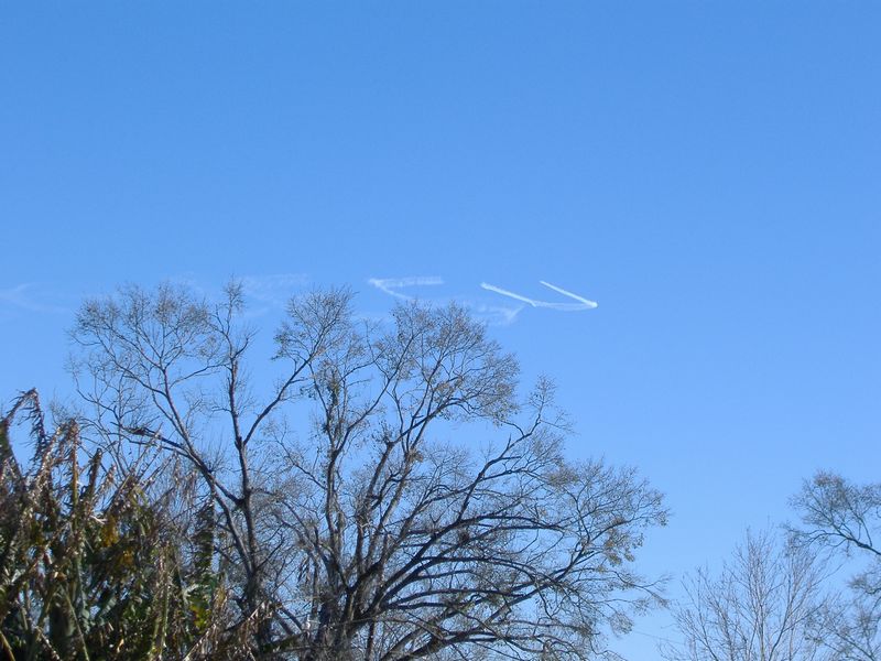 DSCF1967.JPG