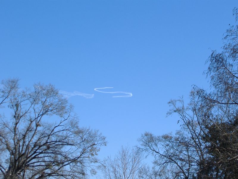 DSCF1968.JPG