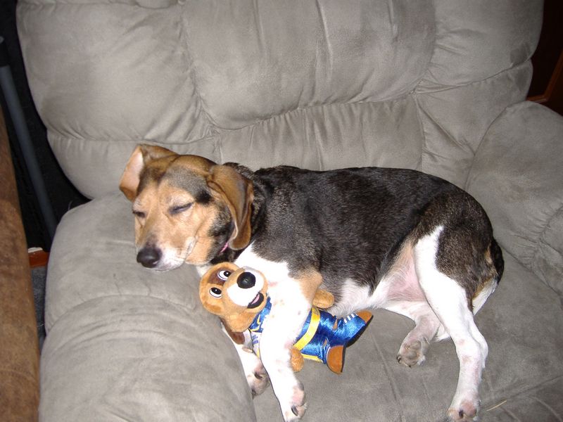 DSCF2540.JPG