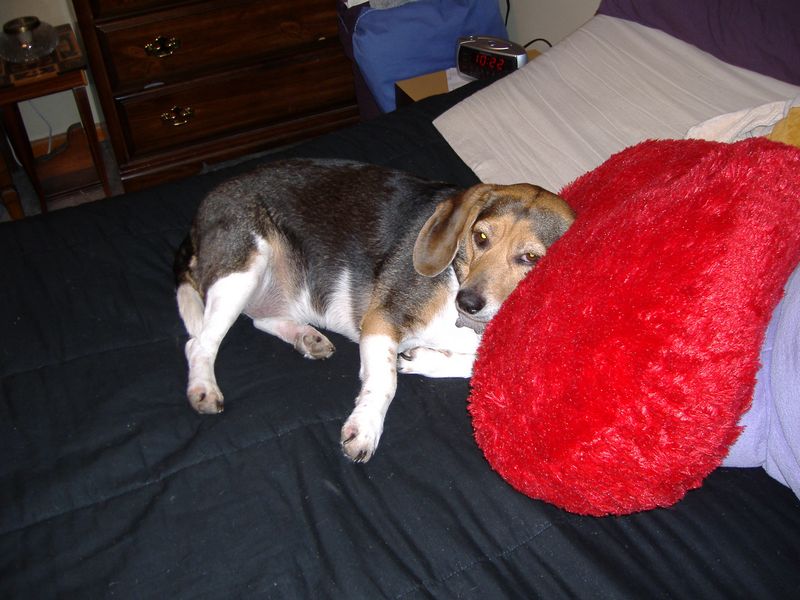 DSCF2571.JPG