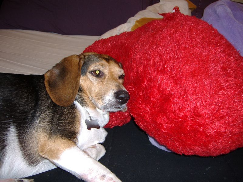 DSCF2572.JPG